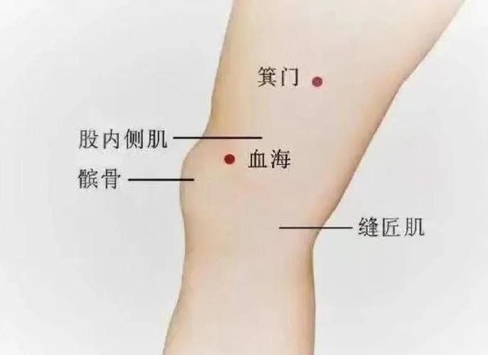 什么穴位治疗血液粘稠