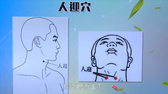 促进甲状腺分泌的穴位