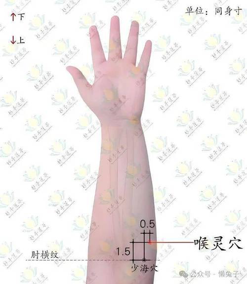 促进甲状腺分泌的穴位