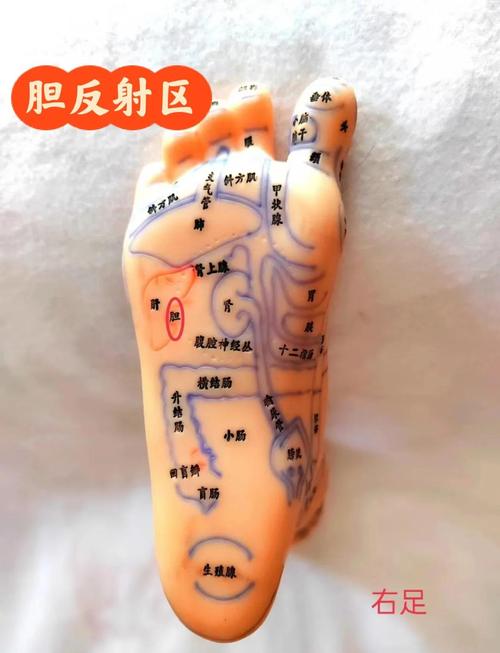 脚底哪个穴位对应心脏