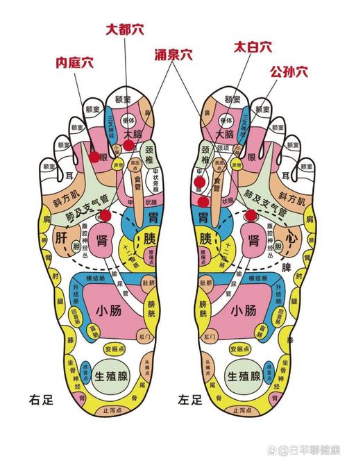 脚底哪个穴位对应心脏
