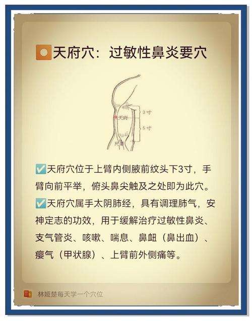 哪个穴位可以止住鼻血