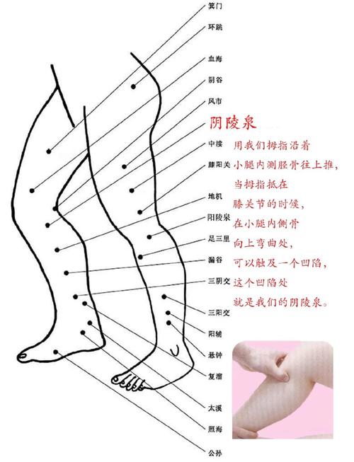 阴陵泉穴位起什么作用