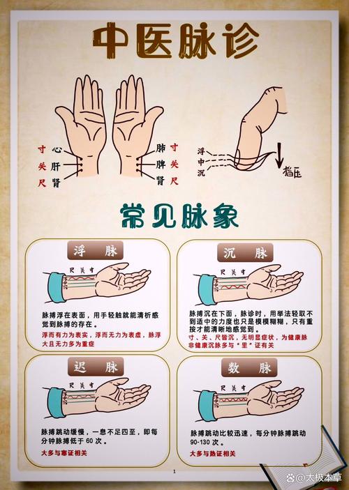 中医的滑脉是什么意思