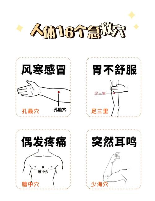 感冒鼻炎艾灸哪个穴位