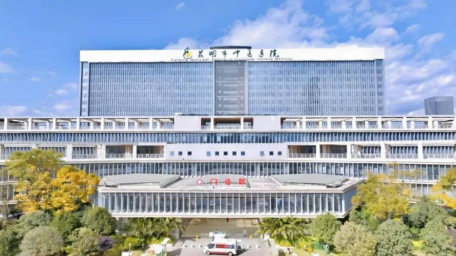 昆明市呈贡中医院电话
