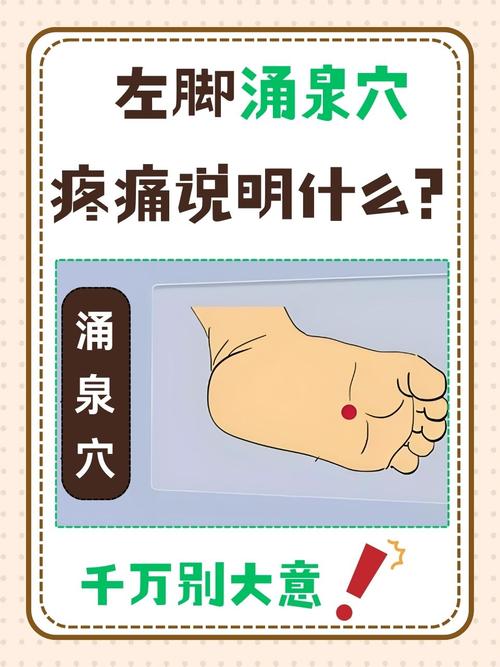 宫颈对应脚下哪个穴位