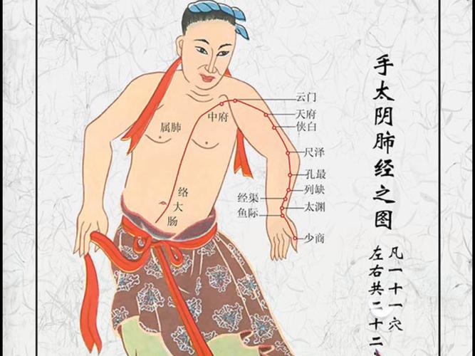 手臂 穴位 太阴肺经