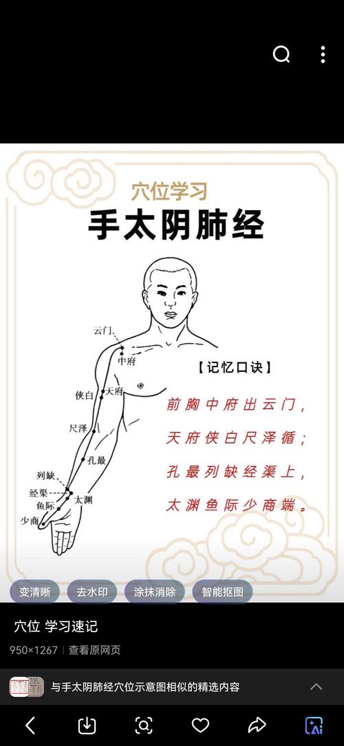 手臂 穴位 太阴肺经