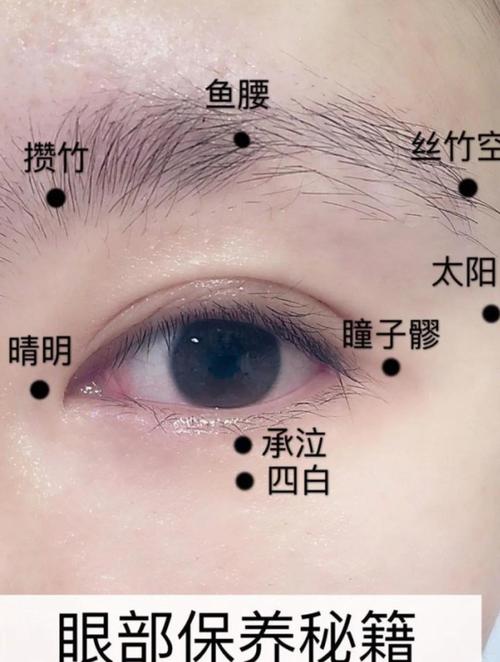 眼睑痉挛按摩哪些穴位