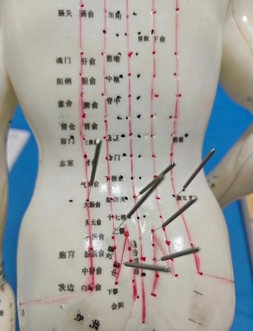 扭腰按摩那个穴位最好