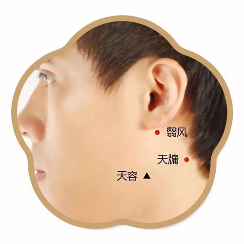 椎间盘突出穴位图耳朵