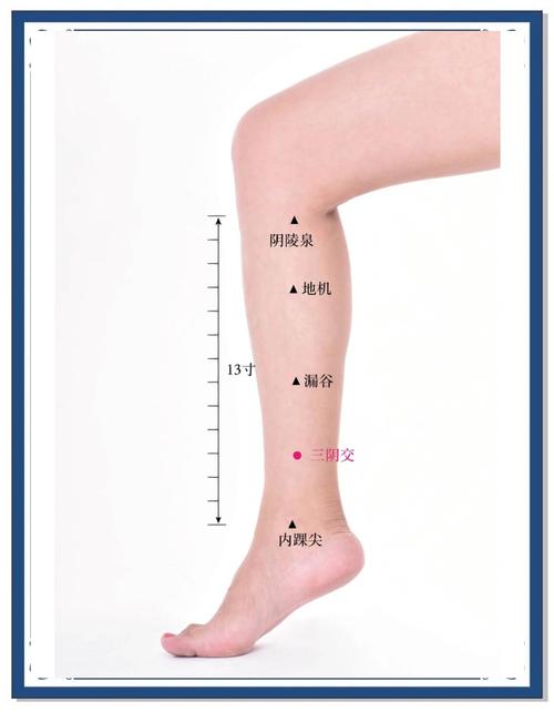 大腿内侧穴位按压颗粒