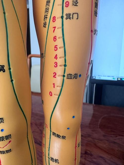 大腿内侧穴位按压颗粒