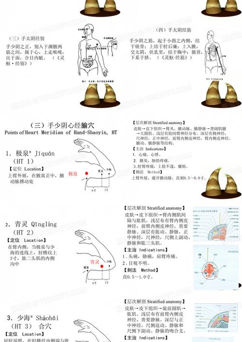 手少阴心经 穴位密码