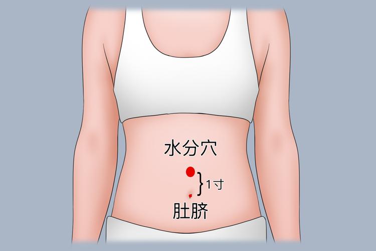 腹部减肥按摩什么穴位