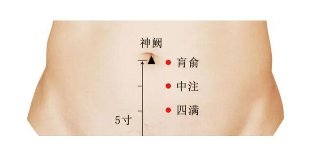腹部减肥按摩什么穴位