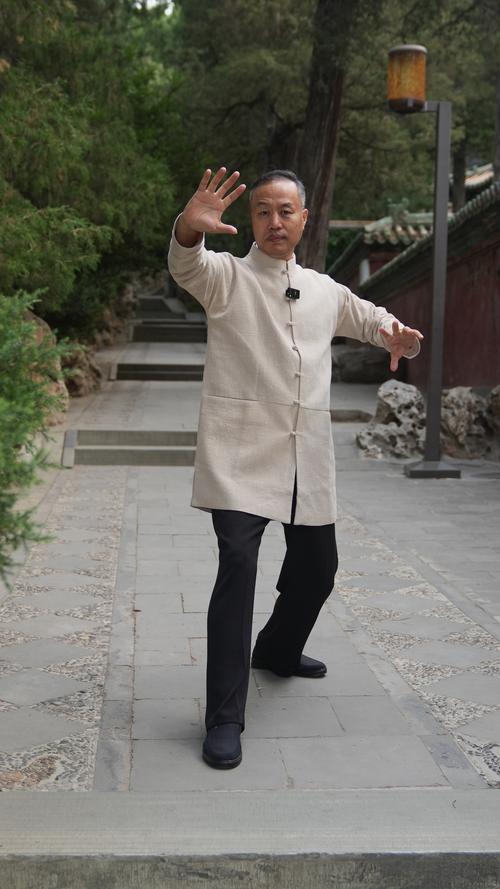 武功县最好的中医是谁