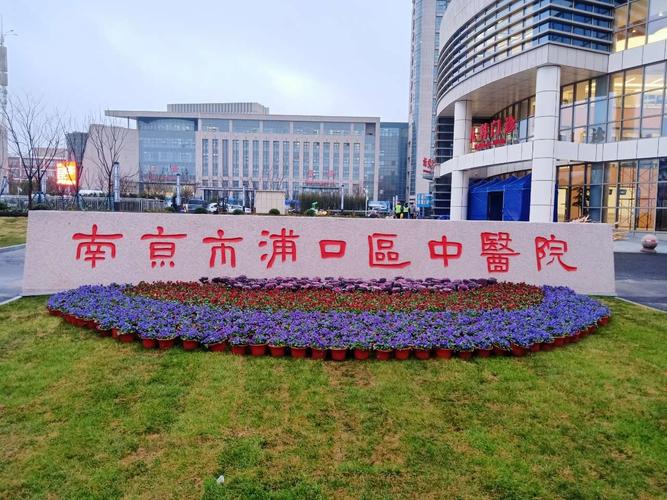 南京恒大中医院是几级