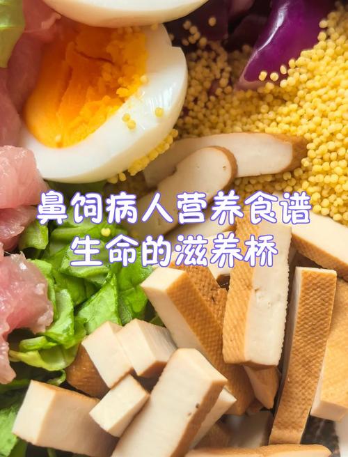 鼻饲病人20例饮食食谱