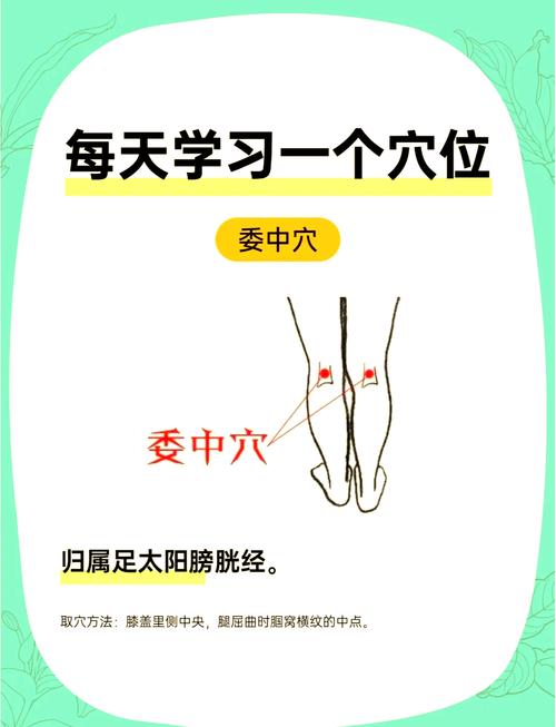 腰椎不好按摩哪个穴位