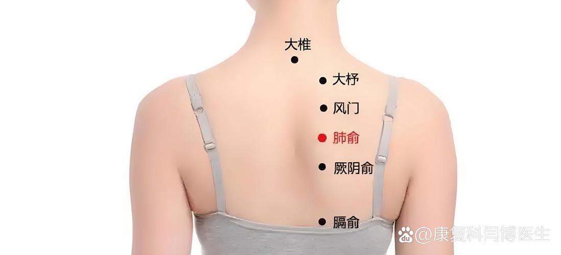 人体背部穴位按摩视频