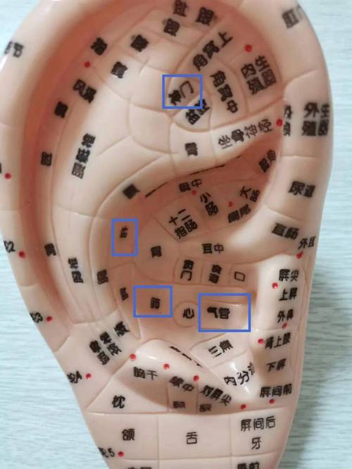 咳嗽按摩耳朵哪个穴位