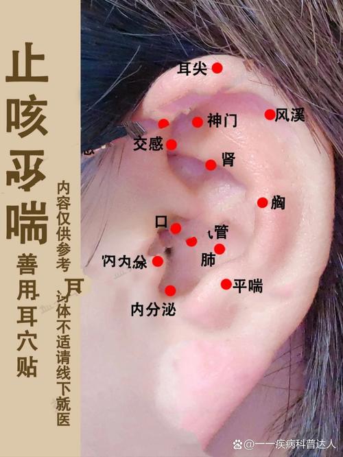 咳嗽按摩耳朵哪个穴位