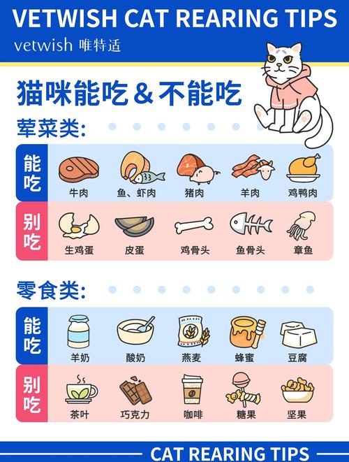猫咪饮食秘籍 pdf