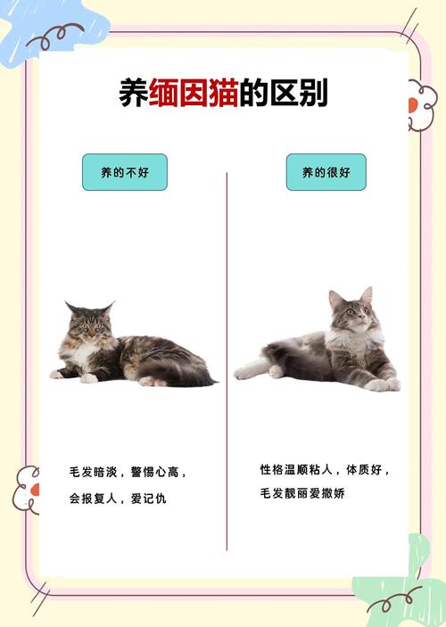 猫咪饮食秘籍 pdf
