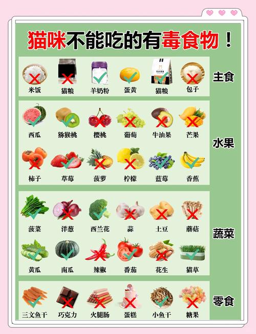 猫咪饮食秘籍 pdf