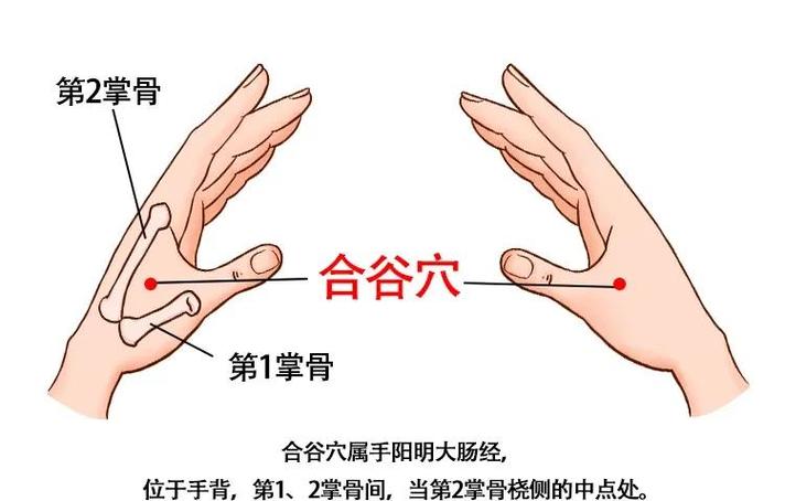 骨骼闭合按摩刺激穴位