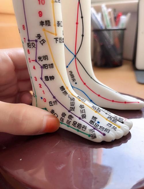 骨骼闭合按摩刺激穴位