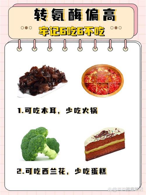 转氨酶 高 饮食