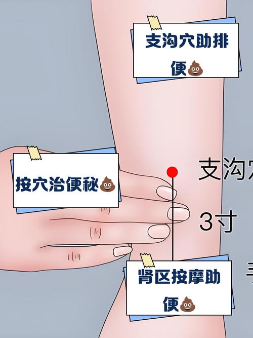 按摩什么穴位促进大便