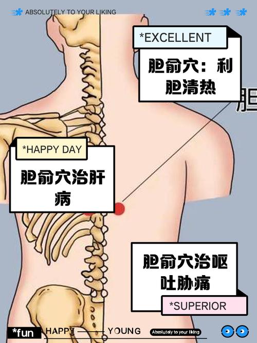胆囊疼痛按摩什么穴位