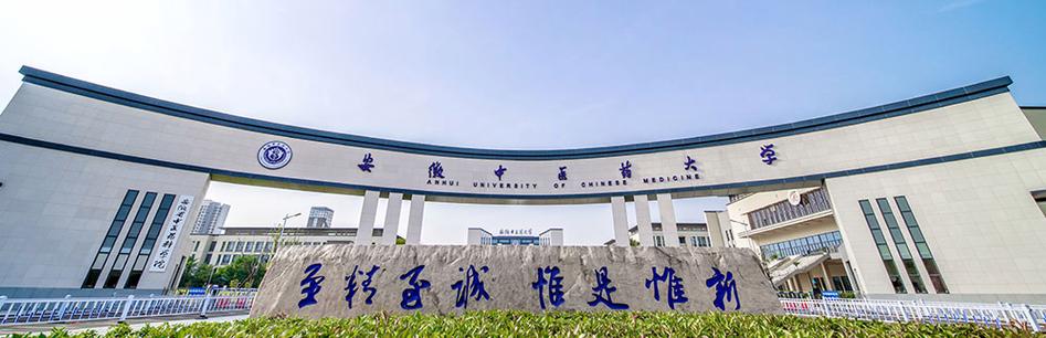 安徽中医药大学招就处