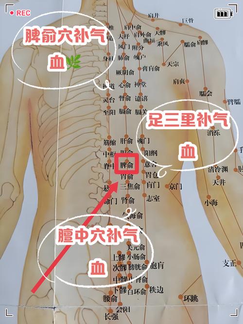 气血不通针灸什么穴位