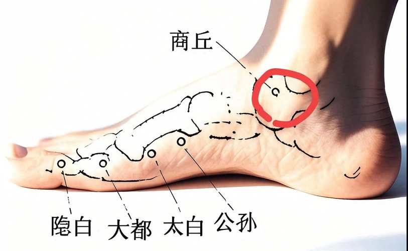 下肢浮肿按摩哪个穴位