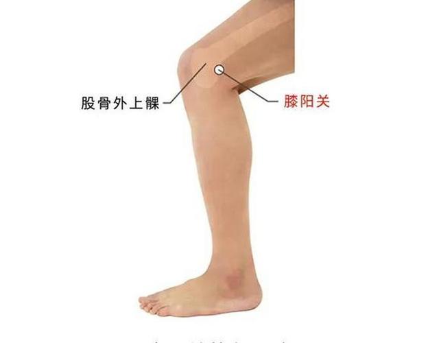 下肢浮肿按摩哪个穴位