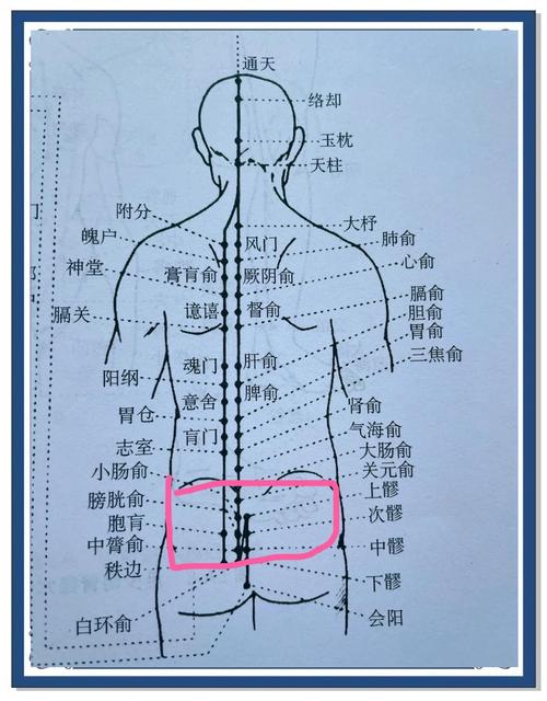 后腰发凉艾灸那个穴位