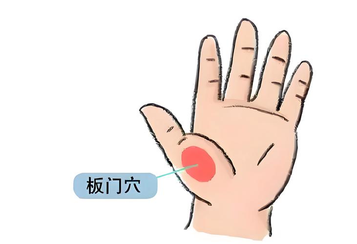 小孩呕吐应按什么穴位