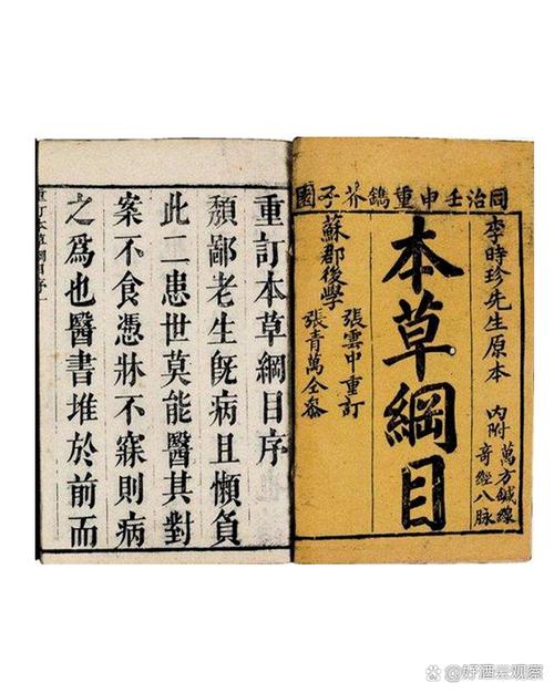 叶成中医你的珍所在那