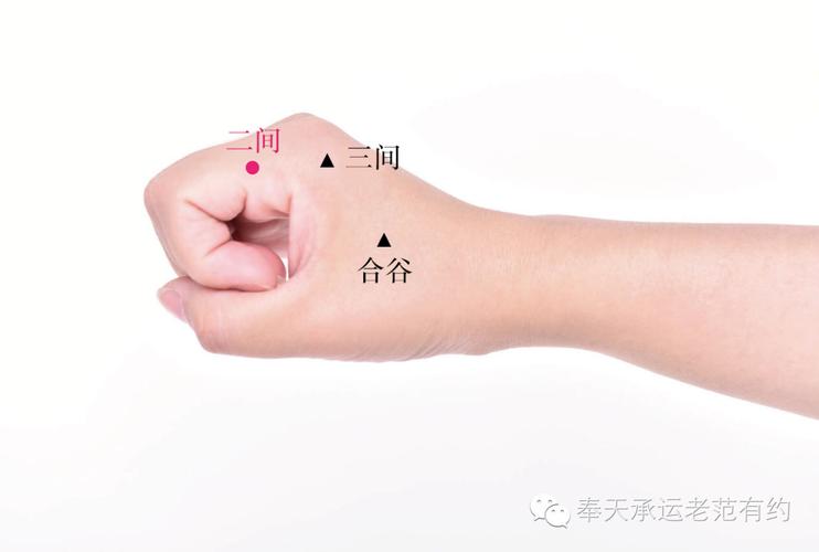 叶成中医你的珍所在那