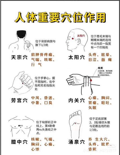 穴位密码图解视频大全