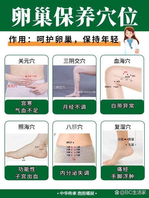 针对卵巢保养针灸穴位