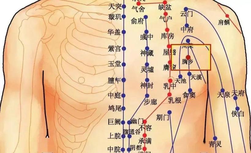 乳房刺痛按摩什么穴位