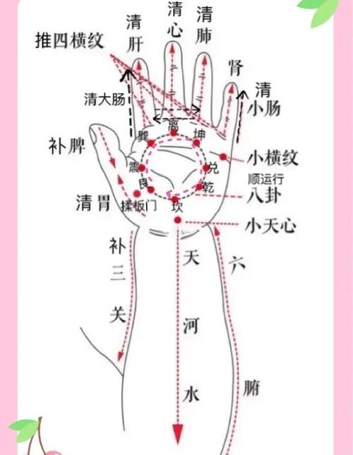 小儿推拿常用穴位挂图