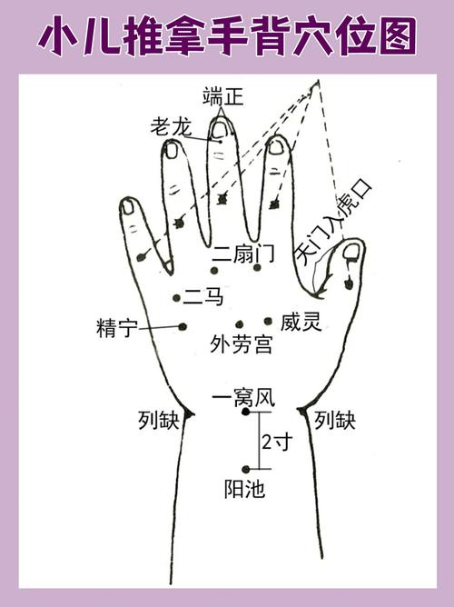 小儿推拿常用穴位挂图
