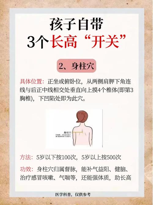 中医按摩穴位儿童长高